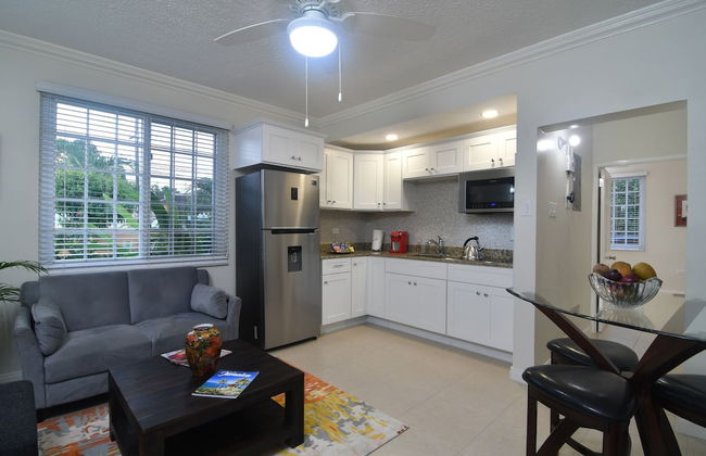 Centrally Located Guest Apartments III - Photo 8