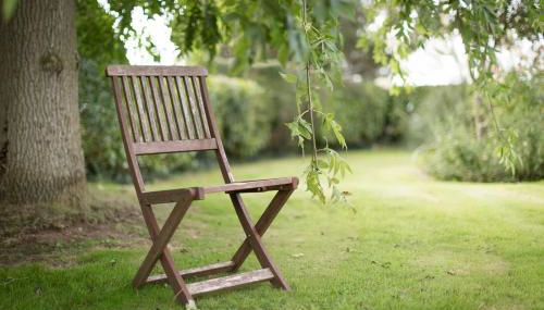 The Snug - Foto 4, Garden