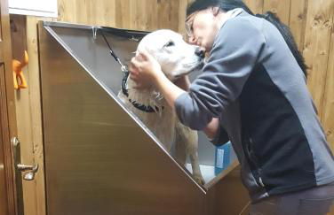 Casa de Aldea El Sol - Foto 17