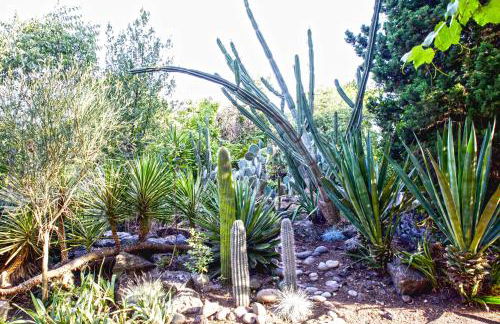Etna Botanic Garden - Foto 33