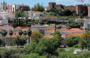 Sun in the City - Photo 15