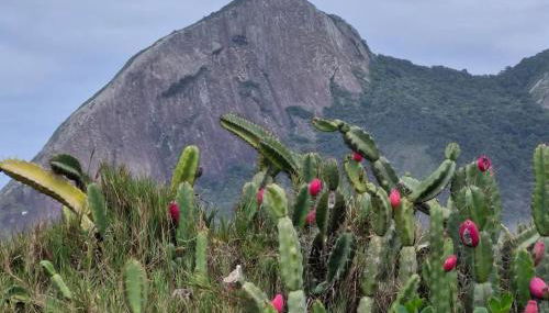 Refúgio de Praia - Foto 5