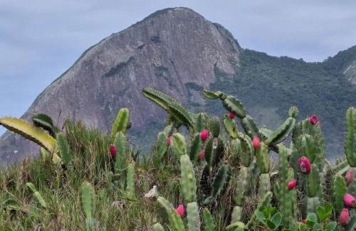 Refúgio de Praia - Foto 5