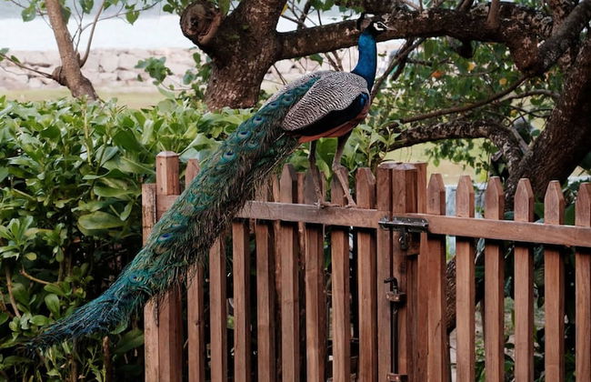 M Beach House by Boutique - Photo 31