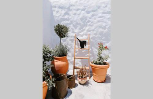 1919's House - Foto 10