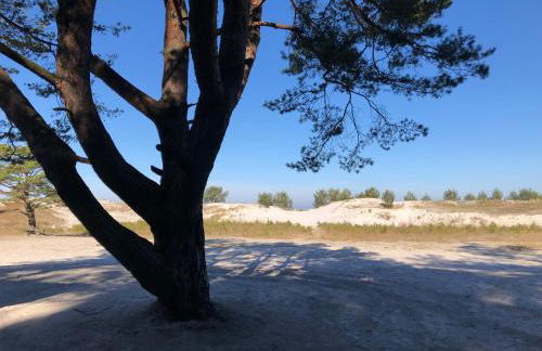 Prerow „Seaside“-strandnah! - Foto 30