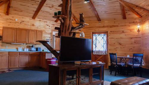 Bear Necessities Cabin, Mesa Verde Getaway - Foto 2, Other