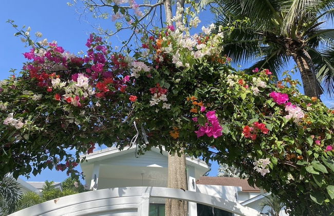 Bougain Villas Salad Beach - Foto 64