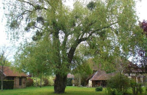 Au clos de marie - Foto 7