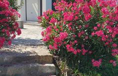 Boutique apartments Myesis - Foto 50