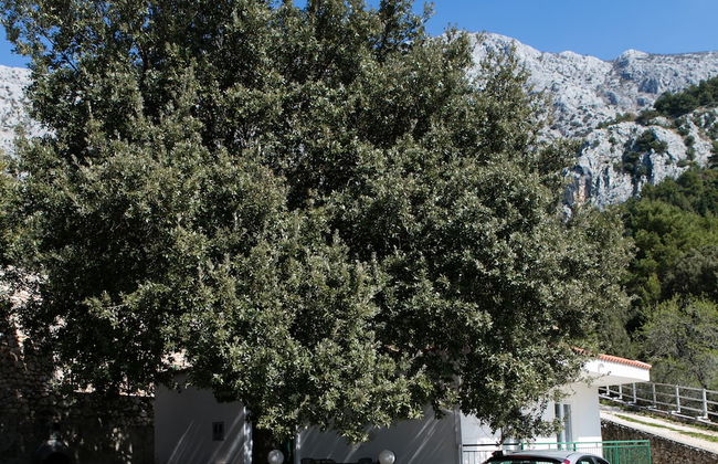 Split Region, Town of Makarska, Nature Park Biokovo With Sky Walk, Pets Allowed - Foto 17