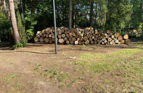 Waldhaus Eichhörnchen - Foto 46