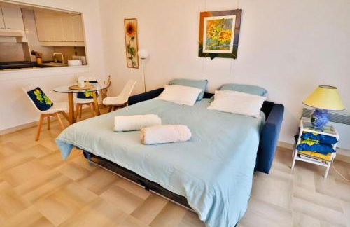 Saint Jean Cap Ferrat grand Studio avec terrasse - Foto 6