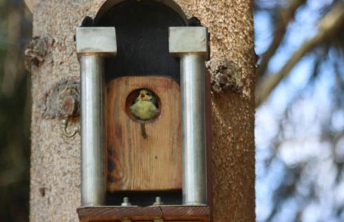 Apartment am Nationalpark Bayerwald - Foto 35