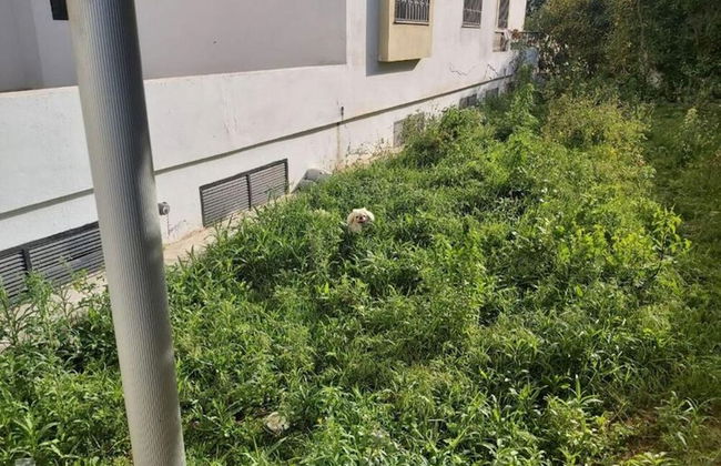 Ideal Appart Ain Zaghouan Tunis - Foto 57