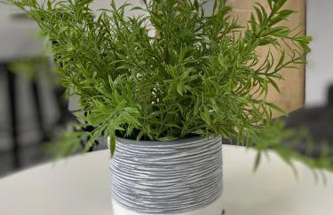 Apartamento Frente à Praia Santos - Foto 13