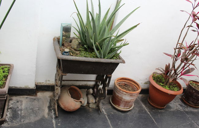 La Condesa de Barranco - Photo 35