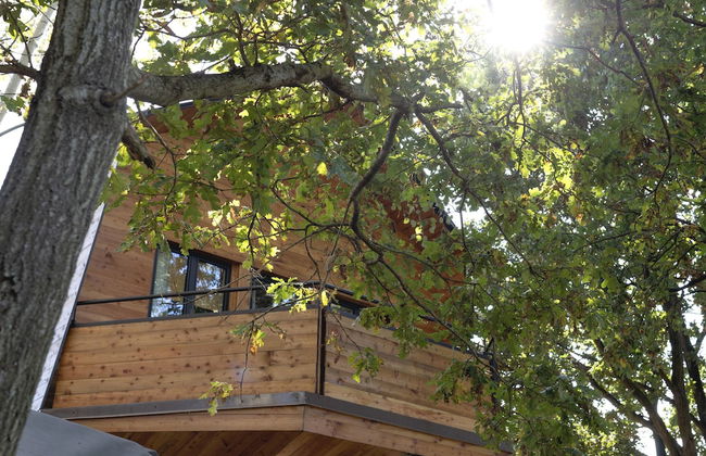 La Barca nel Bosco di Cascina Papa Mora - Foto 12