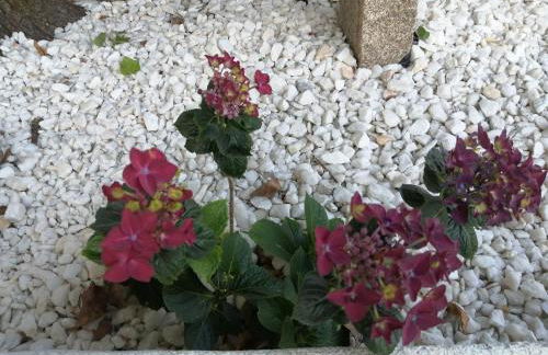 A Casa Do Viso Do Chirin - Foto 21