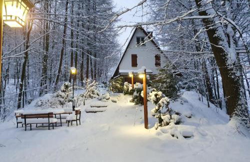 Leśny Zakątek - Foto 30