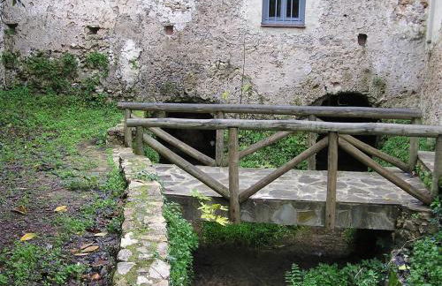 NAPAIMBE Sierra - Foto 33