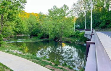 3 Bedroom - Boho By the Star - Cozy Home Close to Downtown Roanoke - Foto 33