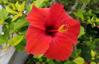 Belle Maison proche plage - Foto 18