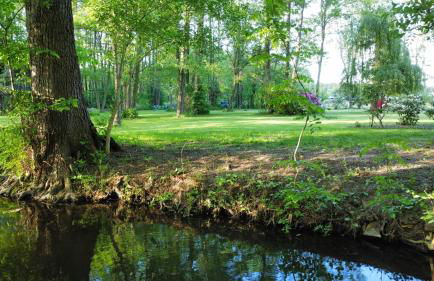 Modernes Gartenatelier am Mühlenfließ - Foto 32