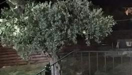 Nestor Apartments - Foto 2, Internal: Not applicable to any particular room