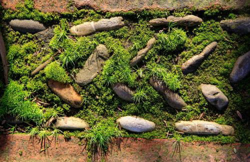 Cortijo La Hoya - Foto 36