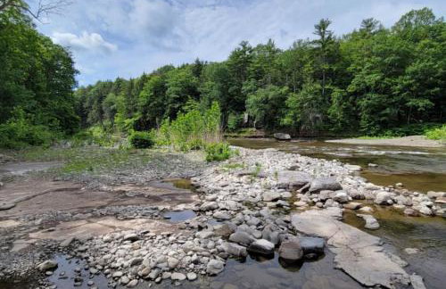 Catskills retreat - ATV, Hot tub, hiking, fishing - Foto 7