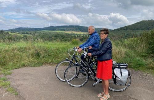 Luxe, landelijke vakantiewoning der alte Birnenbaum Duitsland-Sankt Wendel - Foto 71