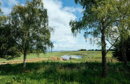 Lodges at the Mains - Photo 7