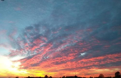 Hollerhof - Urwüchsiges Paradies - Kreativurlaub - Foto 38