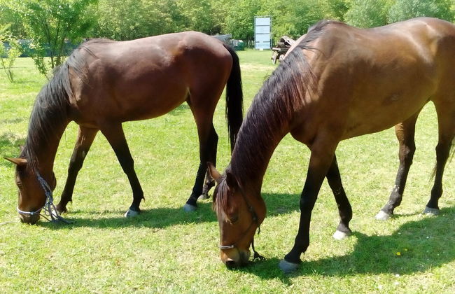 L'Antico Casale dei Sogni - Foto 27