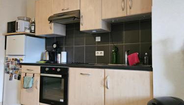 Hautacam Condor - Balcon vue montagne - Photo 3, stove, dishwasher, toaster