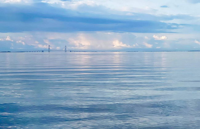 5 Person Holiday Home in Frorup-by Traum - Foto 21