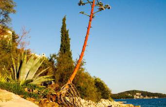 Apartment Punta - Foto 80