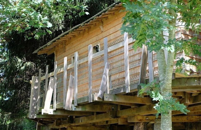 Cabane dans les Arbres - Tree House - Foto 9
