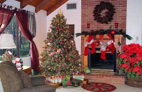 Lake Palestine Family Getaway with Waterfront Deck - Foto 7