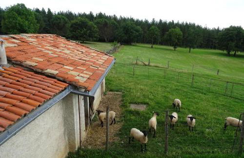 Les hirondelles de montsec - Foto 11