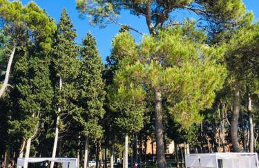 APARTMANI NIEL - Photo 64