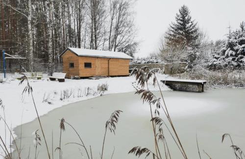 Domek w lesie nad stawem Sauna Balia Podlasie - Foto 2