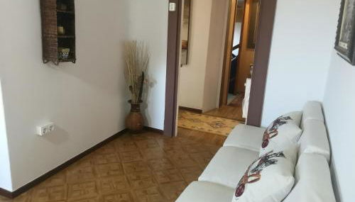 Casal de Perros - Foto 2