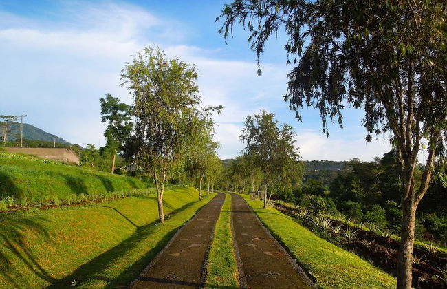 Bagus Agro Pelaga - Foto 66