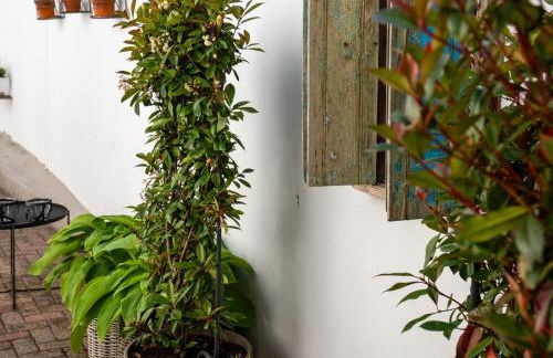 Die kleine Lotti - Foto 7