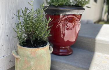 Paso Robles Wine Country Ranch House & Firepit - Foto 27