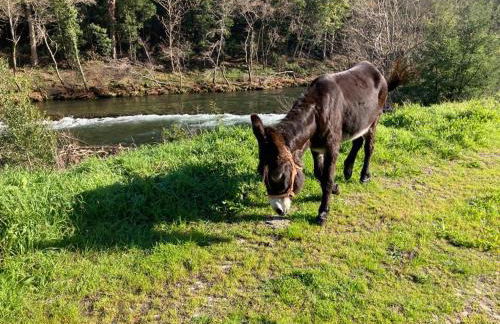 Quinta de Varzielas - Agroturismo - Foto 7