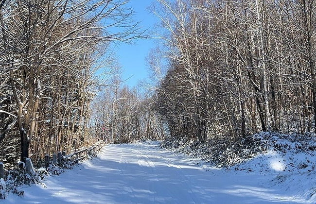 THE VILLA ABASHIRI - Foto 69