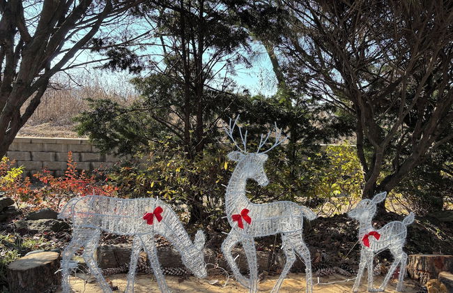 Paju Gamaksan Pension - Foto 73